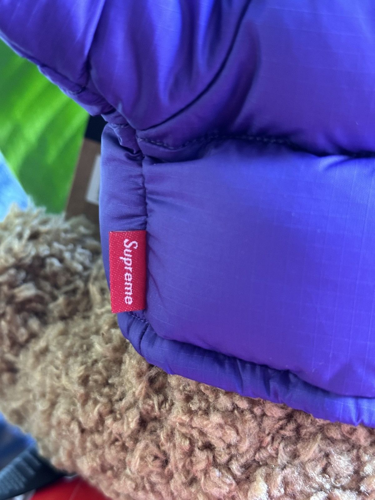 Supreme x The North Face Supreme X North Face Stuffed Bear - Size OS - Tag/Label