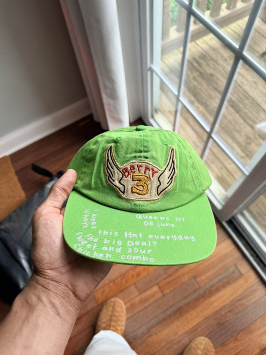 The GV Gallery Gv Gallery Raspberry Hills Chicken Combo Hat - Green - Size OS - Front View