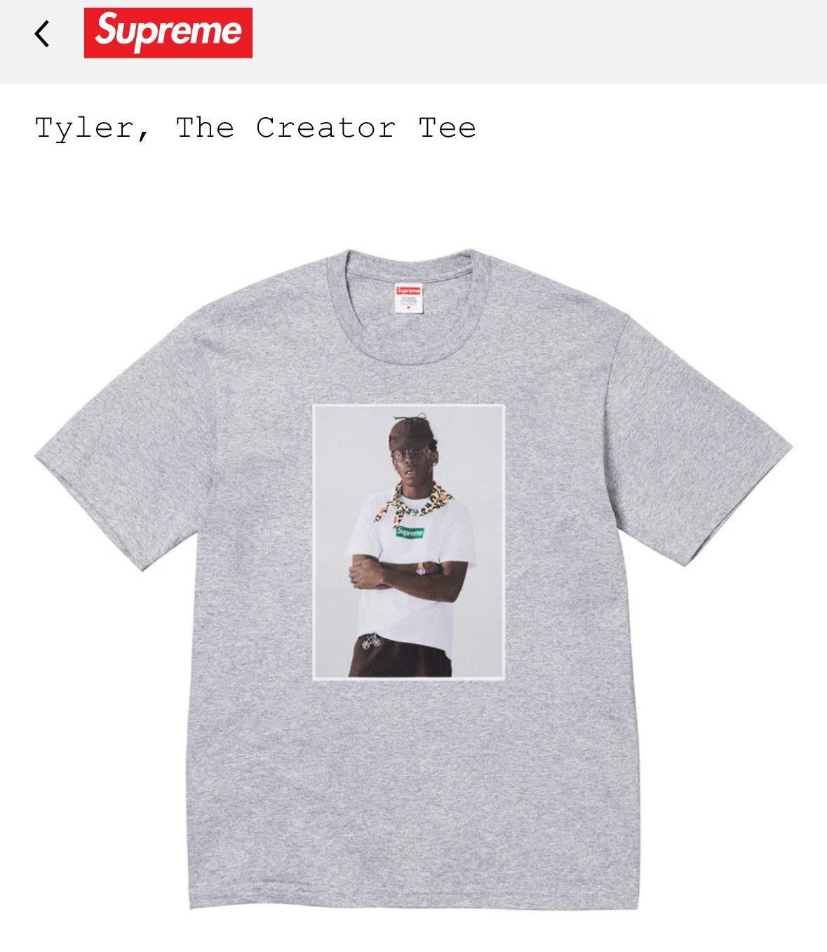 Supreme Tyler The Creator Photo Tee Large Grey - Grey - Size L - View 6