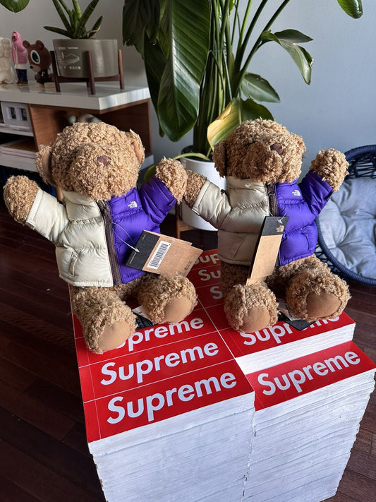 Supreme x The North Face Supreme X North Face Stuffed Bear - Size OS - Front View