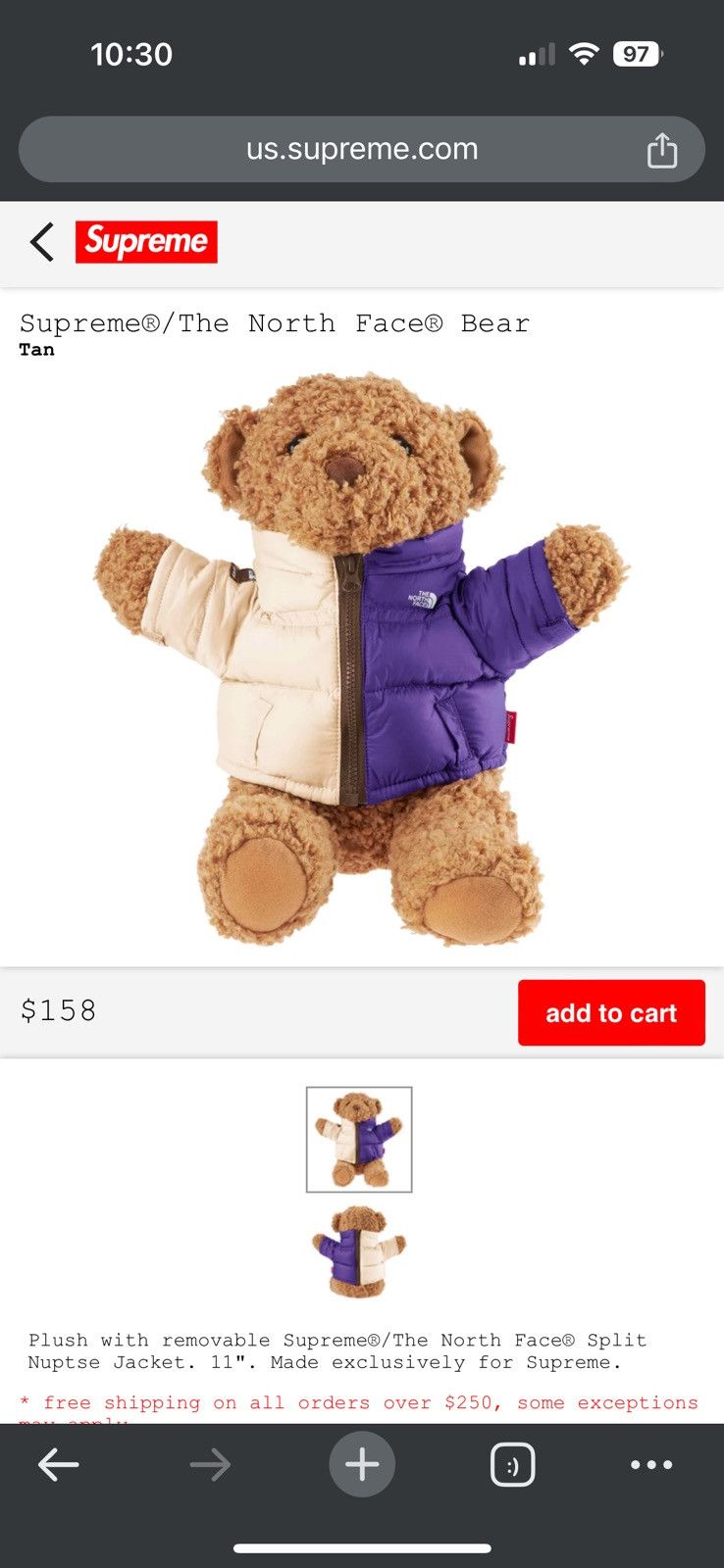 Supreme x The North Face Supreme X North Face Stuffed Bear - Size OS - View 6