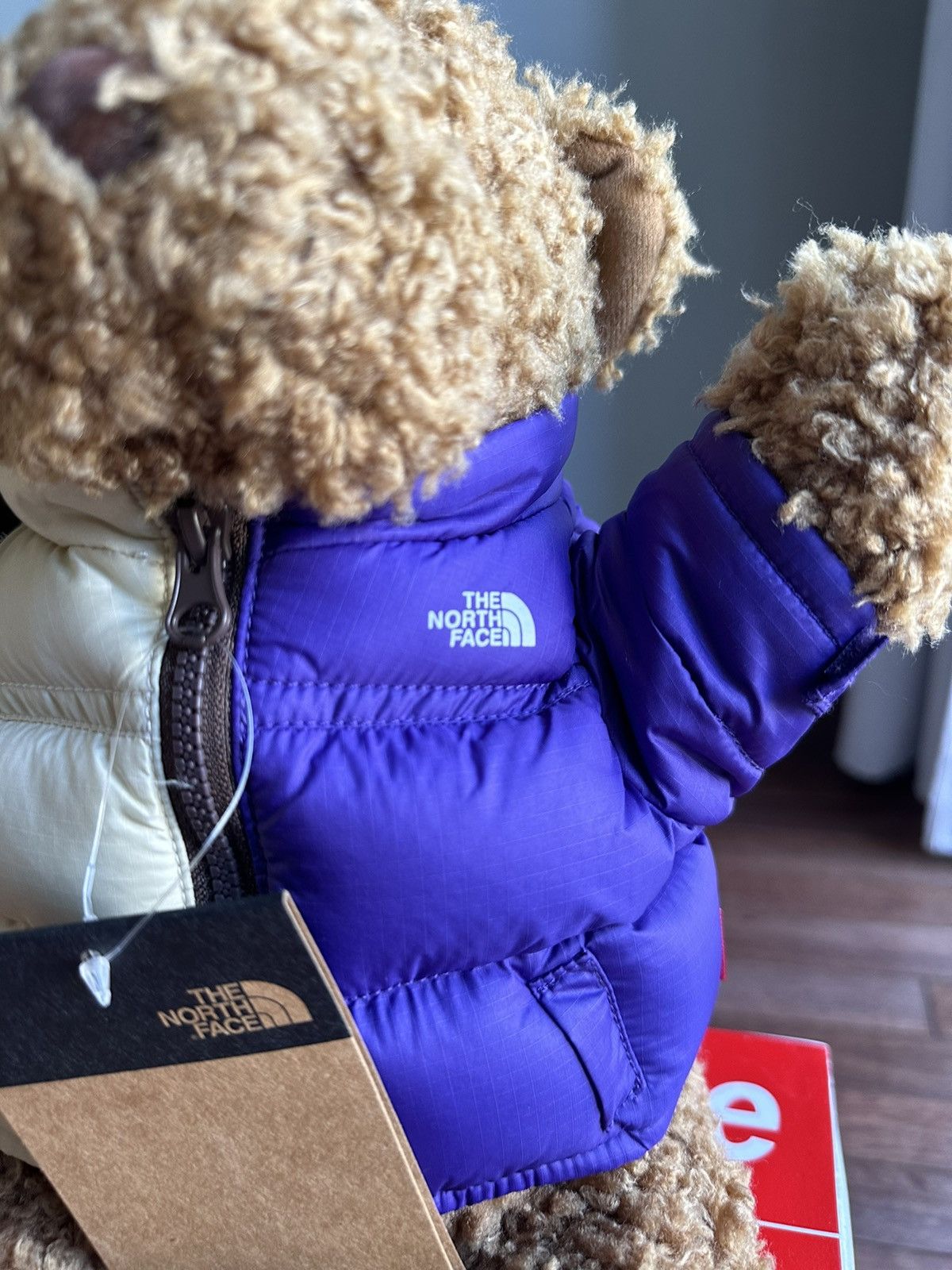 Supreme x The North Face Supreme X North Face Stuffed Bear - Size OS - Detail Shot